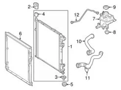 Genuine Mercedes 1665000875 Expansion Tank/Coolant Reservoir Hose; Tank To Radiator - Mercedes | A1665000875