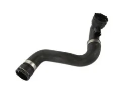 Rein Automotive 17123413819, CHR0198P Radiator Coolant Hose; Lower To Thermostat Housing - BMW | 11530360161 11533400209 W01331770987