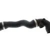 Genuine BMW 17127510952 Radiator Coolant Hose; Upper Radiator To Thermostat Housing - BMW | 11531436406 11534460438 -auto parts store 17127510952OE