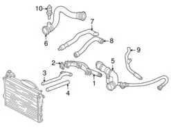 Genuine BMW 11531711885 Coolant Hose - BMW
