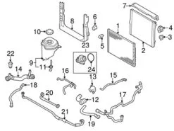 Genuine BMW 17127589755 Radiator Coolant Hose; Lower - BMW | 17124583475