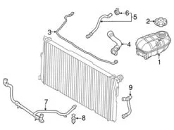 Genuine BMW 17127648645 Radiator Coolant Hose; Lower - BMW