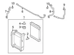 Genuine BMW 17127805602 Radiator Coolant Hose; Front - BMW