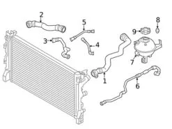Genuine BMW 17128572908 Expansion Tank/Coolant Reservoir Hose - BMW