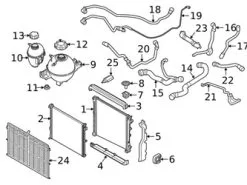 Genuine BMW 17129894784 Engine Coolant Overflow Hose; Front - BMW | 17128689254