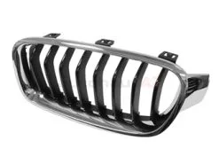 Genuine BMW 51137260497 Grille; Left - BMW