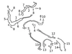 Genuine BMW 64216821663 Radiator Coolant Hose - BMW