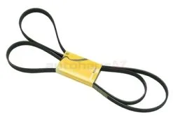 Continental ContiTech PQR500340, 6K2550 V Belt/Drive Belt; Primary - Land Rover | 4904116 93185051