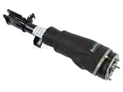 Britpart LR032563, RNB501520 Shock Absorber; Front Right - Land Rover