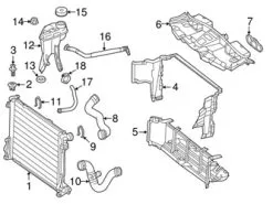 Genuine Mercedes 1725012082 Radiator Coolant Hose; Right, Lower - Mercedes