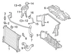 Genuine Mercedes 1725012282 Radiator Coolant Hose; Right, Lower - Mercedes