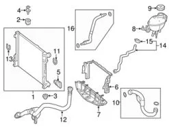 Genuine Mercedes 2125016884 Radiator Coolant Hose; Right Lower - Mercedes