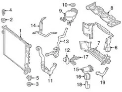 Genuine Mercedes 2185011682 Radiator Coolant Hose; Lower - Mercedes