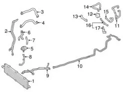 Genuine Mercedes 2225001788 Coolant Hose; Rear - Mercedes