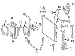 Genuine Mercedes 2225009272 Radiator Coolant Hose; Right Lower, Lower - Mercedes