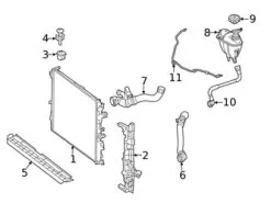 Genuine Mercedes 2225011393 Radiator Coolant Hose; Right - Mercedes