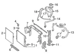 Genuine Mercedes 2225012825 Engine Coolant Overflow Hose; Right - Mercedes