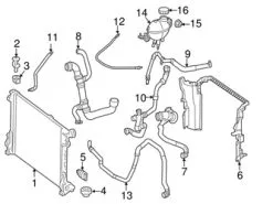 Genuine Mercedes 2315013282 Radiator Coolant Hose; Upper - Mercedes