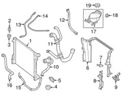 Genuine Mercedes 2315014482 Radiator Coolant Hose; Left - Mercedes