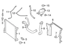 Genuine Mercedes 2315015282 Radiator Coolant Hose; Lower - Mercedes