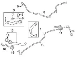 Genuine Porsche 97010640110 Coolant Hose - Porsche